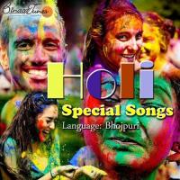 Holi Special Songs songs mp3