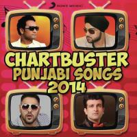 Chartbuster Punjabi Songs 2014 songs mp3