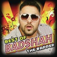 Terminator (Feat. Badshah) (From "Terminator") Sherry Kaim Feat. Badshah Song Download Mp3