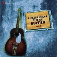 Sehra Sehra (From "Piya Basanti...Again") Ustad Sultan Khan,K. S. Chithra Song Download Mp3
