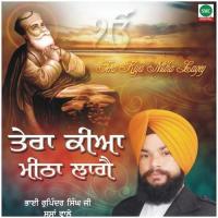 Na Koi Bairi Bhai Rupinder Singh Song Download Mp3