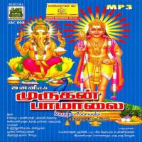 Murugan Paamaalai songs mp3