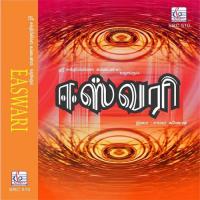 Raman Sri Raman S.P. Balasubrahmanyam,K. S. Chithra Song Download Mp3