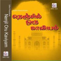 Nenjil Oru Kaviam songs mp3