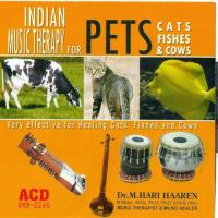 Indian Music Therapy For Pets - Cats Fishes And Cows songs mp3