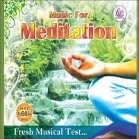Music For Meditation songs mp3