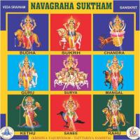 Navagraha Suktam songs mp3