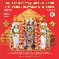 Padmavathi Laxmi Srinivasam songs mp3