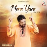 Mera Yaar Sardar Ali Song Download Mp3
