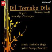 Dil Tumake Dila songs mp3