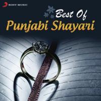 Best Of Punjabi Shayari songs mp3