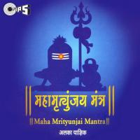Maha Mrityunjay Mantra Alka Yagnik Song Download Mp3