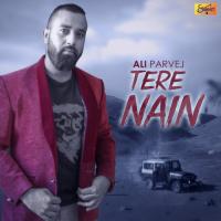 Tere Nain Ali Parvej Song Download Mp3