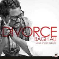 Tere Naal Gal Karni Bagh Ali Song Download Mp3
