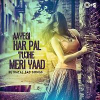 Aayegi Har Pal Tujhe Meri Yaad (Betrayal Sad Songs) songs mp3