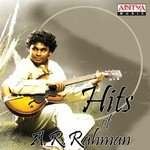 Sankurathri Kodi (From "Yuva") A.R. Rahman,Madhusri Song Download Mp3