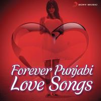 Forever Punjabi Love Songs songs mp3