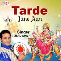 Tarde Jane Aan Ashu Singh Song Download Mp3