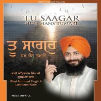 Tu Saagar Ham Hans Tumhare songs mp3