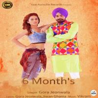 6 Month&039;s Gora Jeonwala Song Download Mp3