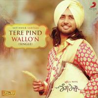 Tere Pind Wallo'n (From "Rangrez") Satinder Sartaaj Song Download Mp3