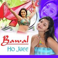 Bawal Ho Jaee songs mp3