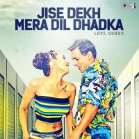 Jise Dekh Mera Dil Dhadke (From "Phool Aur Kaante") Kumar Sanu Song Download Mp3