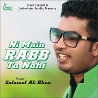 Ni Main Rabb Ta Nahi Salamat Ali Khan Song Download Mp3
