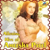 Alluring Hits Of Ameesha Patel songs mp3