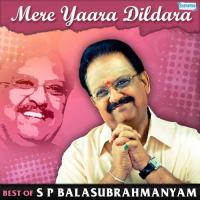 Mere Yaara Dildara - Best Of S.P. Balasubrahmanyam songs mp3