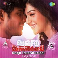 Dark Rooster - Theme Music  From Nenjil Thunivirunthal On JioSaavn. Tamil Movie Featuring Sundeep,Vikranth,Mehreen Pirzada. Download Nenjil Thunivirunthal Songs Or Listen Online Free,only On JioSaavn. Song Download Mp3