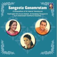 Sarasagresha - Raga - Neelambari - Tala - Khanda Jati Ata Sandeep Narayan Song Download Mp3