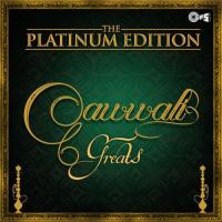 The Platinum Edition - Qawwali Greats songs mp3