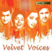 Velvet Voices songs mp3