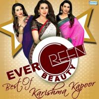 Evergreen Beauty - Best Of Karishma Kapoor songs mp3