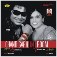 Chandigarh In Room songs mp3