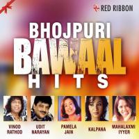 Chala Nadiya Kinare Chali Udit Narayan,Pamela Jain Song Download Mp3