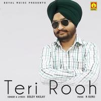 Teri Rooh Goldy Kailay Song Download Mp3