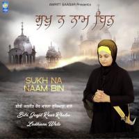 Mithe Har Gun Bibi Jagjeet Kaur Ji Khalsa (Ludhiana Wale) Song Download Mp3