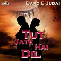 Tut Jate Hai Dil songs mp3