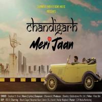Chandigarh Meri Jaan Zeeshan,Viruss Song Download Mp3