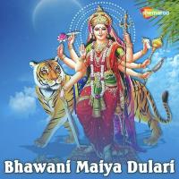 Bhawani Maiya Dulari songs mp3