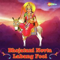 Bhejatani Nevta Labang Fool songs mp3