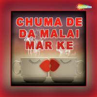 Kaise Yaad Kari Jable Radhe Shyam Song Download Mp3
