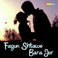 Fagun Shtawe Bara Jor songs mp3