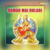 Hoke Mai Aawa Tari Susil Song Download Mp3