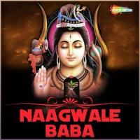 Naagwale Baba songs mp3