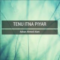 Tenu Itna Piyar Adnan Ahmed Alam Song Download Mp3