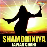 Shamdhiniya Jawan Chahi songs mp3