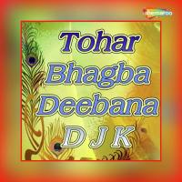 Baghba Deewana D J K Sumit Mishra Song Download Mp3